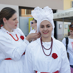 Z vlakom na Vinsko vigred s trajnostno vozovnico - 50%